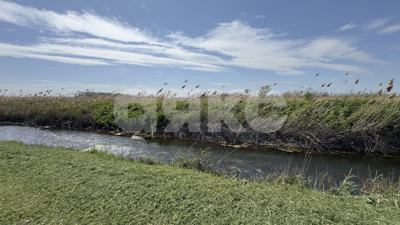 Фото №1: Личное подсобное хозяйство 30 сот. - Братковское, ул. Степная, 46