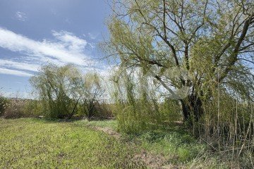 Фото №5: Личное подсобное хозяйство - Братковское, ул. Степная, 46