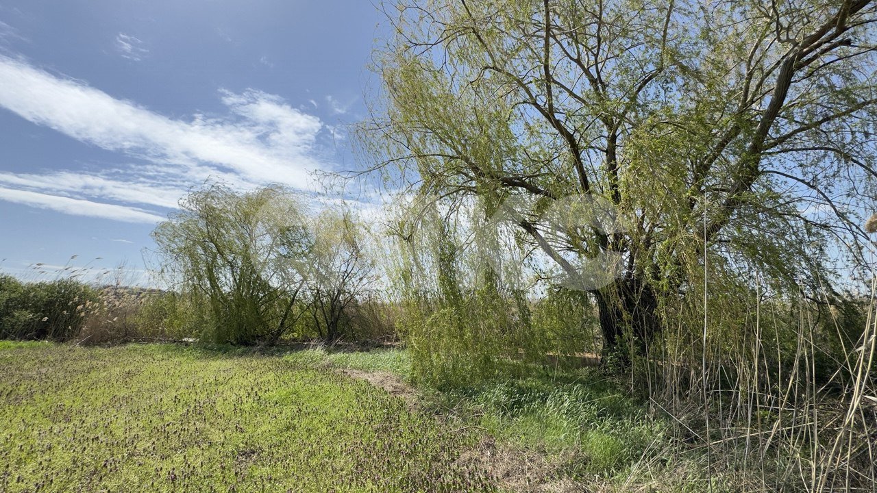 Фото №5: Личное подсобное хозяйство 30 сот. - Братковское, ул. Степная, 46