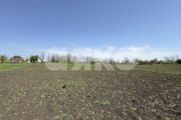 Фото №4: Личное подсобное хозяйство - Братковское, ул. Степная, 46