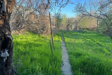 Фото №5: Земельный участок 9 сот. - Родниковская, ул. Советская, 77