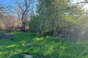 Фото №4: Земельный участок 9 сот. - Родниковская, ул. Советская, 77