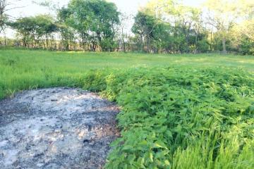 Фото №5: Земельный участок 10 сот. - Южный, мкр. Олимпийский, ул. Алмазная, 14