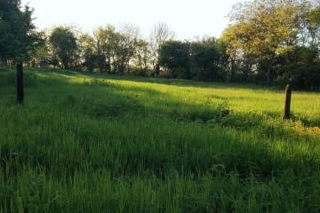 Фото №3: Земельный участок 10 сот. - Южный, мкр. Олимпийский, ул. Алмазная, 14