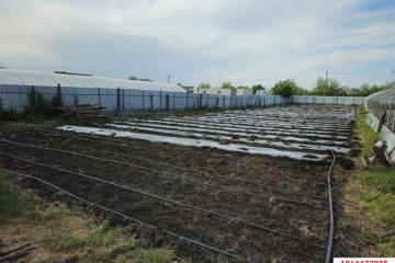 Фото №1: Коммерция 25 м² - Платнировская, ул. Северная, 39