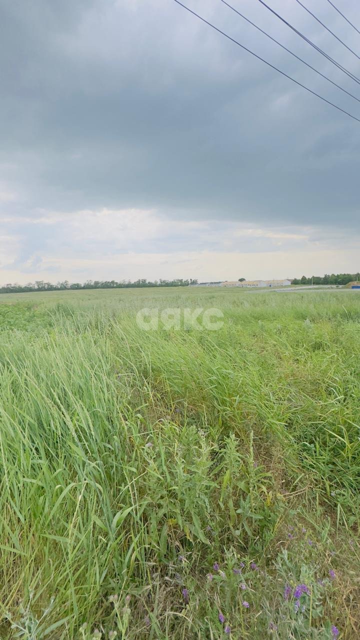 Фото №2: Земельный участок под ИЖС 6.6 сот. - Кореновск, мкр. 2-й квартал