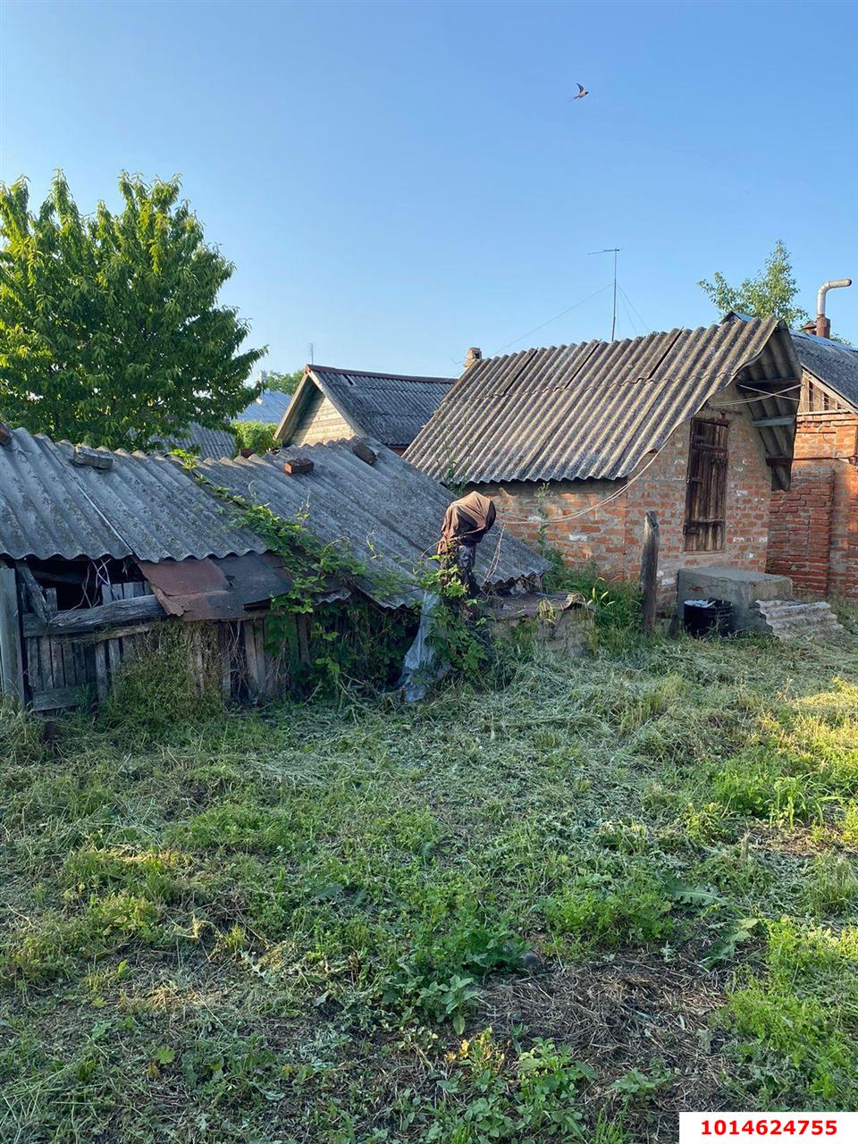 Фото №2: Дом 46 м² + 20 сот. - Платнировская, ул. Советская, 221