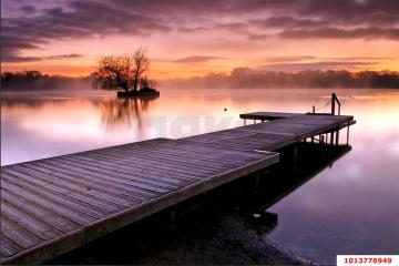 Фото №2: Земельный участок 34.9 сот. - Ягодка, ул. Персиковая