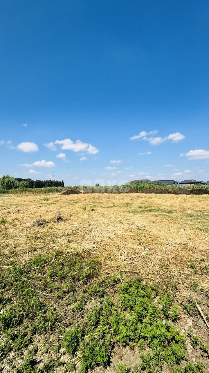 Фото №1: Земельный участок под ИЖС 5.57 сот. - Кореновск, мкр. 1-й квартал, ул. Короткая