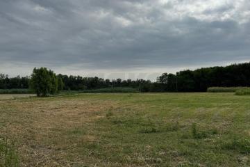 Фото №2: Земельный участок 38 сот. - Нижний, 