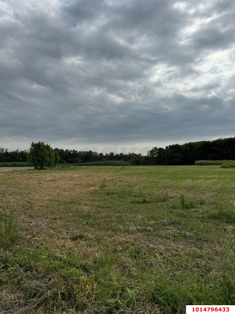 Фото №2: Земельный участок 38 сот. - Нижний