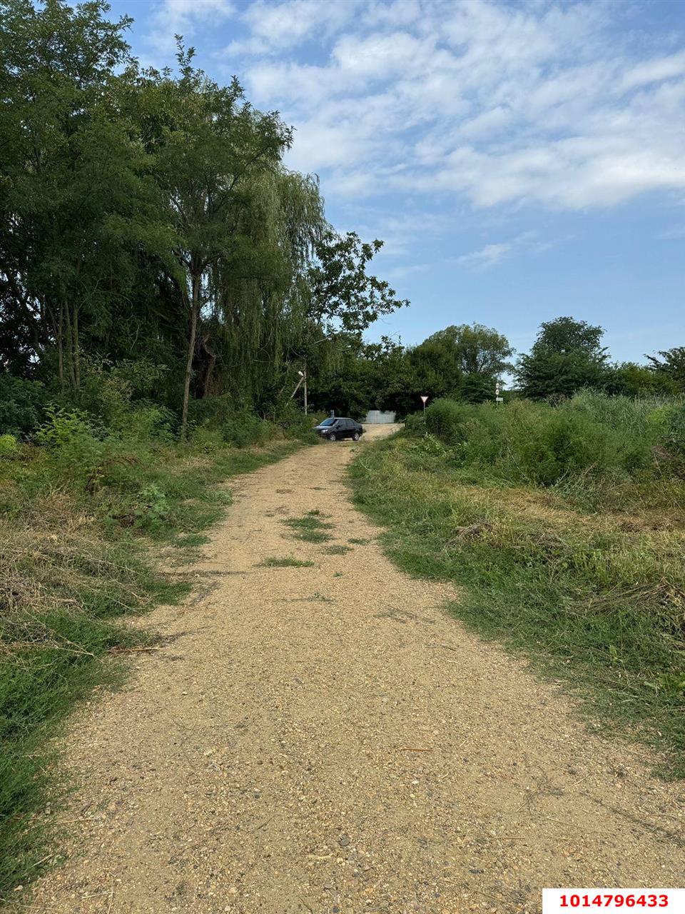 Фото №3: Земельный участок 38 сот. - Нижний