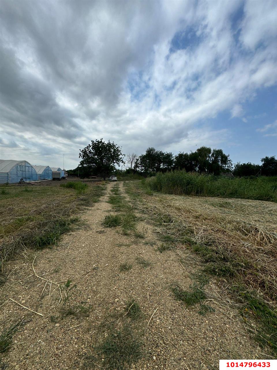 Фото №11: Земельный участок 38 сот. - Нижний