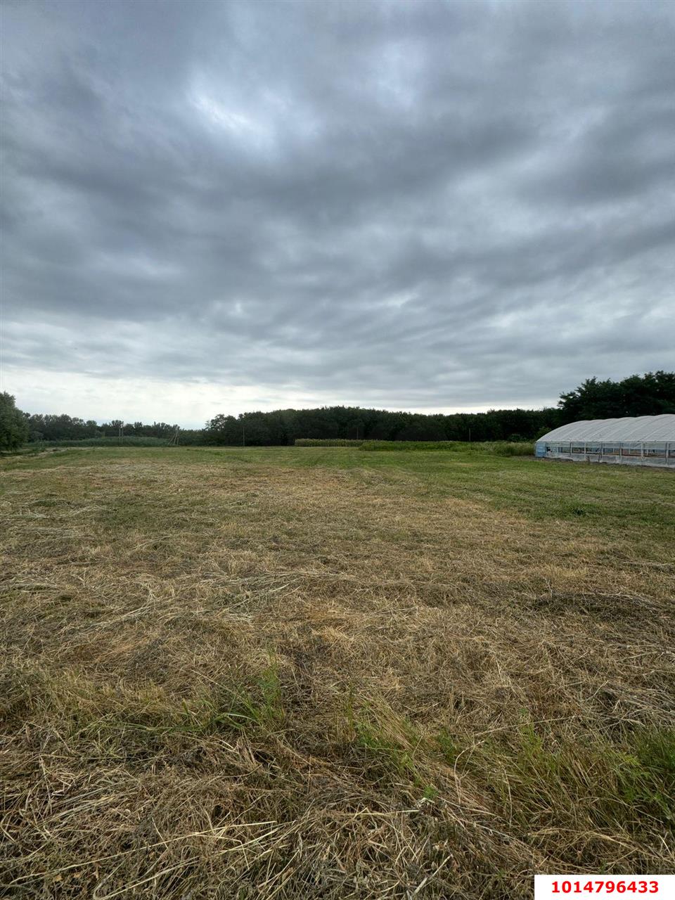 Фото №6: Земельный участок 38 сот. - Нижний