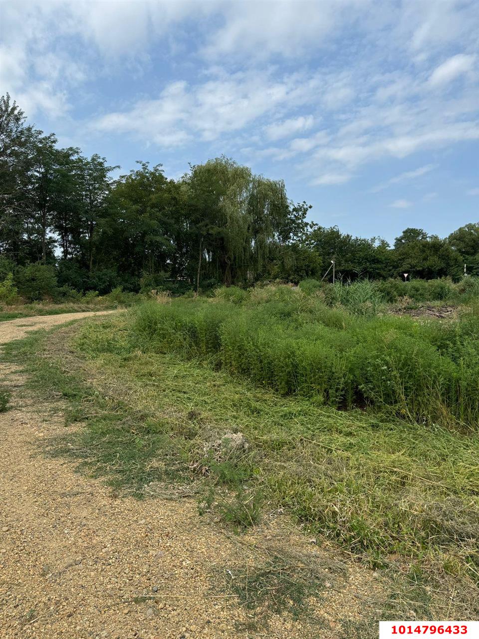 Фото №1: Земельный участок 38 сот. - Нижний