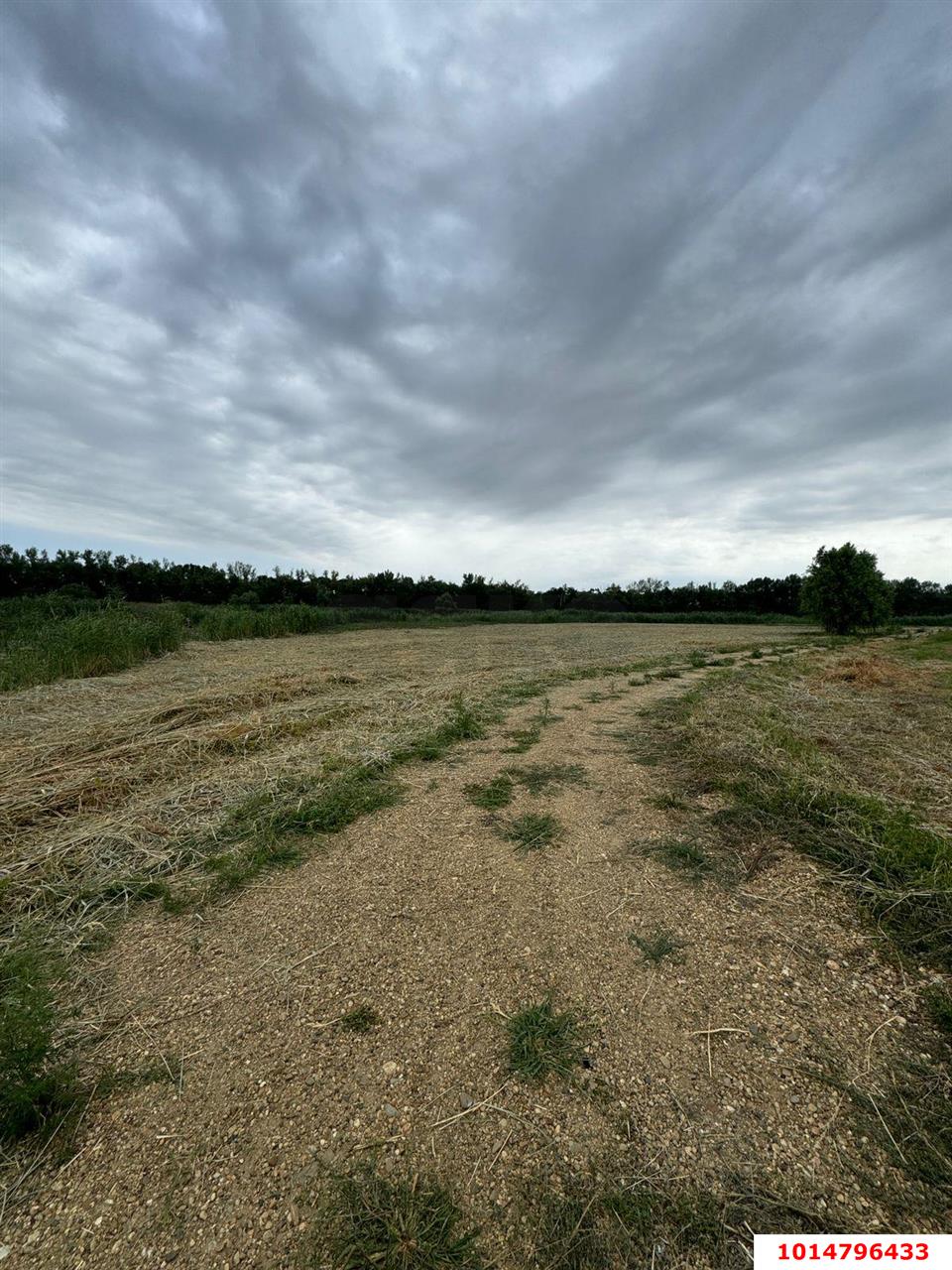 Фото №7: Земельный участок 38 сот. - Нижний