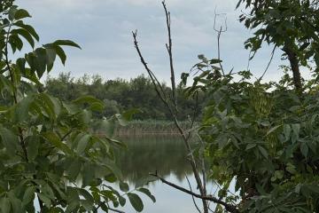 Фото №5: Земельный участок 38 сот. - Нижний, 