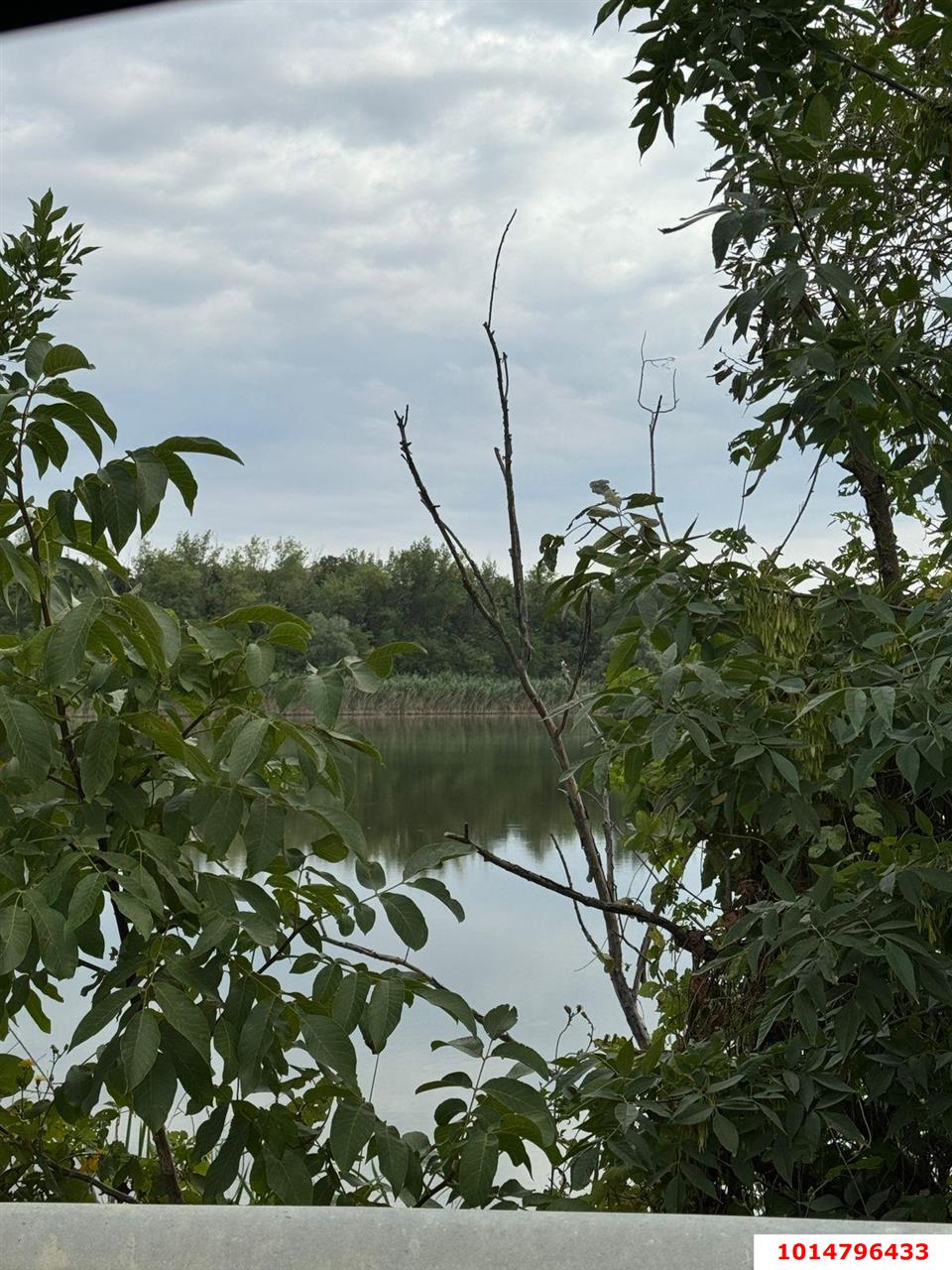 Фото №5: Земельный участок 38 сот. - Нижний