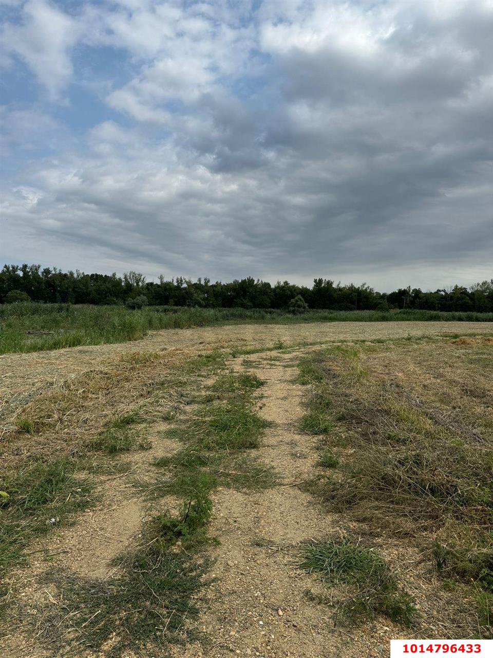 Фото №9: Земельный участок 38 сот. - Нижний