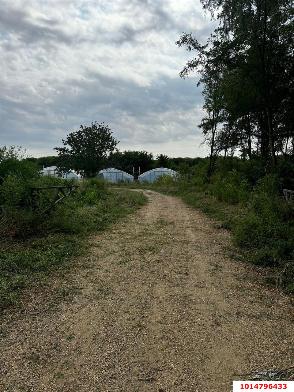 Фото №10: Земельный участок 38 сот. - Нижний