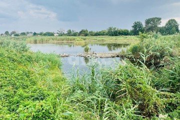 Фото №1: Земельный участок под ИЖС - Братковское, ул. Центральная, 41