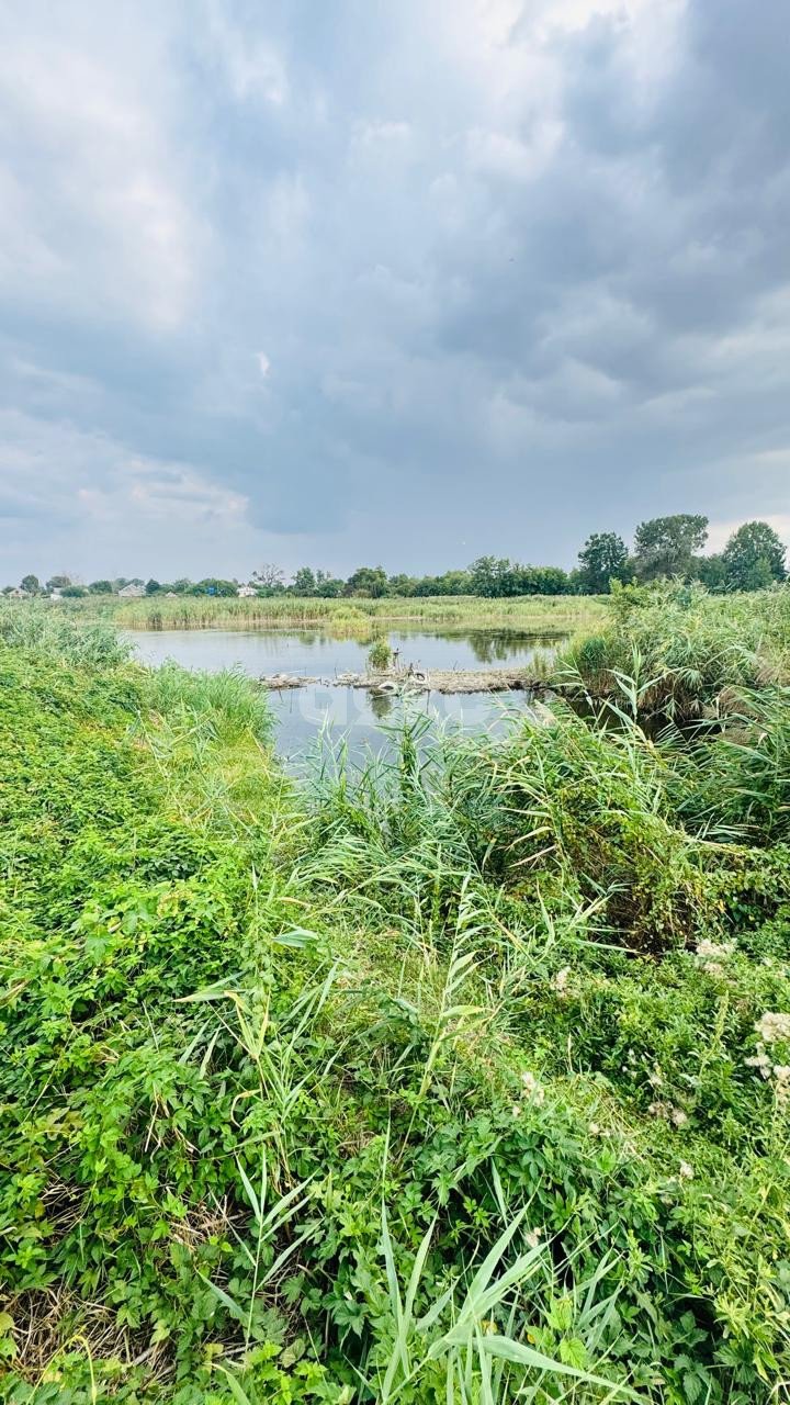 Фото №1: Земельный участок под ИЖС 20 сот. - Братковское, ул. Центральная, 41