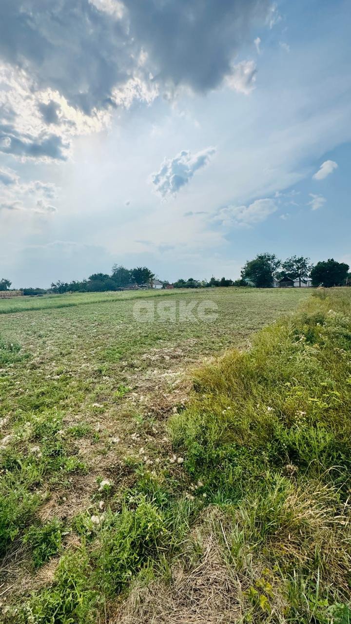 Фото №2: Земельный участок под ИЖС 20 сот. - Братковское, ул. Центральная, 41