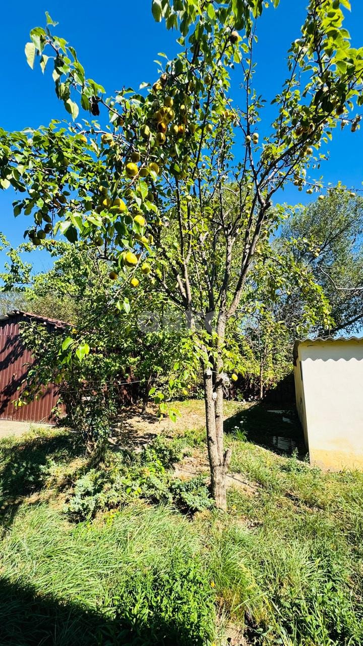 Фото №9: Часть дома 130 м² + 8.38 сот. - Кореновск, мкр. 1-й квартал, ул. Фрунзе