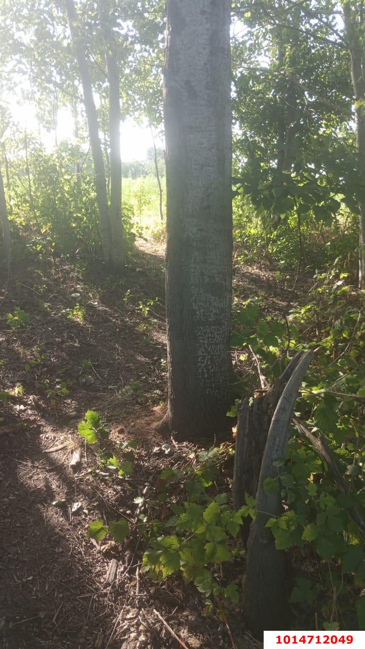 Фото №6: Дом 63 м² + 43.98 сот. - Пролетарский, ул. Огородняя, 15