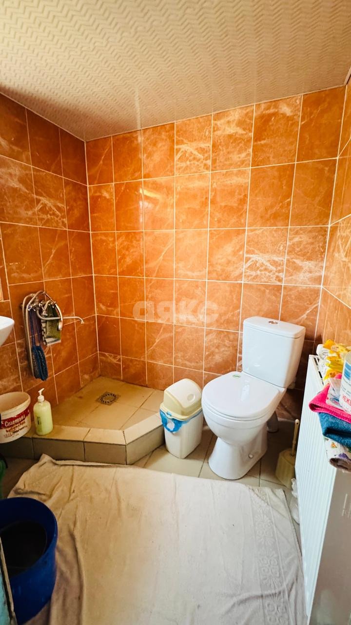 Фото №10: Дом 53 м² + 28.7 сот. - Левченко, ул. Центральная, 10