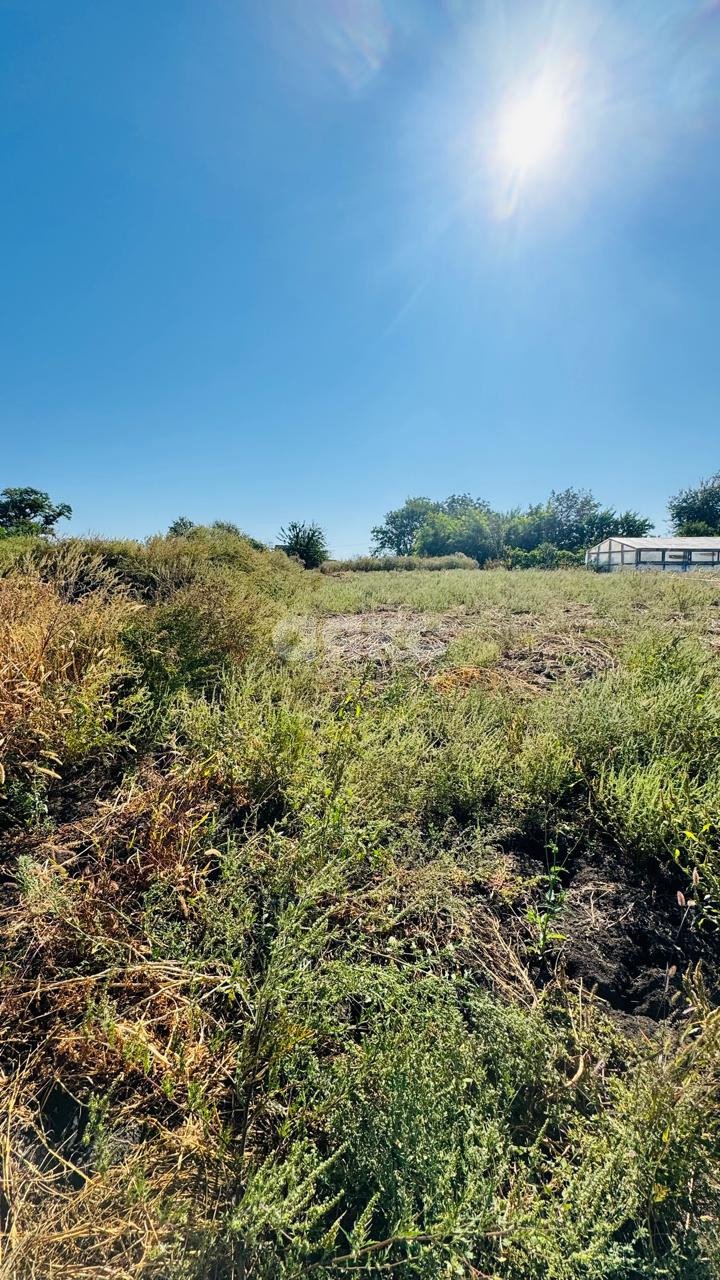 Фото №20: Дом 53 м² + 28.7 сот. - Левченко, ул. Центральная, 10