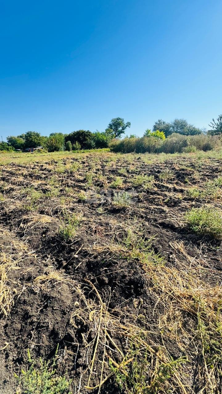 Фото №18: Дом 53 м² + 28.7 сот. - Левченко, ул. Центральная, 10