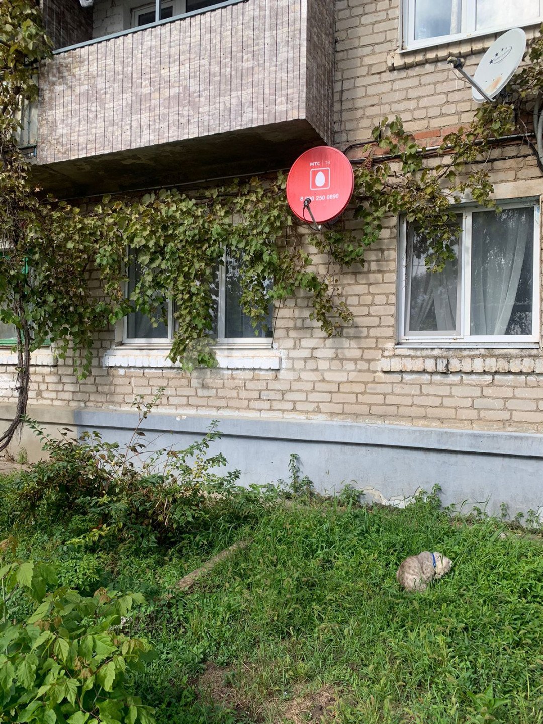 Фото №9: 2-комнатная квартира 41 м² - Кореновск, ул. Тимашевская, 1А