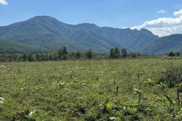 Фото №1: Коммерция 10 м² - Республика Адыгея (Адыгея) Майкопский район