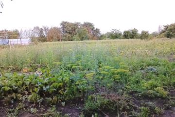 Фото №2: Земельный участок 19.87 сот. - Ивановская, ул. Жлобы, 20