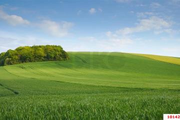 Фото №1: Коммерция 130 м² - Краснодарский край городской округ Новороссийск