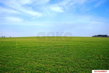 Фото №2: Коммерция 130 м² - Краснодарский край городской округ Новороссийск