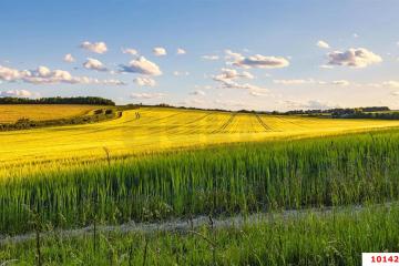 Фото №3: Коммерция 130 м² - Краснодарский край городской округ Новороссийск