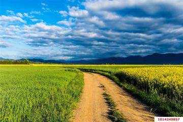 Фото №4: Коммерция 130 м² - Краснодарский край городской округ Новороссийск