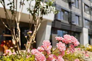 Фото №4: 1-комнатная квартира 36 м² - Краснодар, мкр. Черёмушки, ул. Обрывная, 132/1