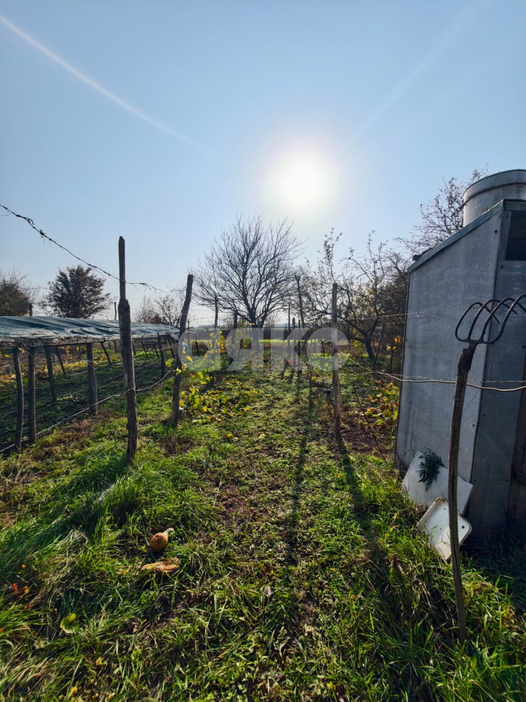 Фото №7: Дом 185 м² + 2749 сот. - Бураковский, ул. Коммунистическая, 84