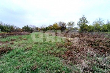 Фото №3: Земельный участок под ИЖС - Платнировская, ул. Октябрьская, 159