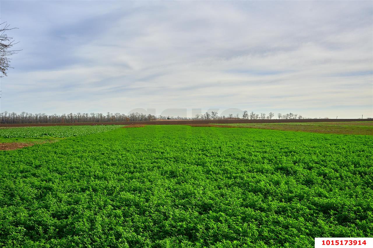 Фото №12: Дом 42 м² + 25 сот. - Пролетарский, ул. Заречная, 1