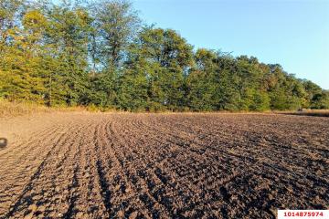 Фото №3: Земельный участок 35 сот. - Тлюстенхабль, 