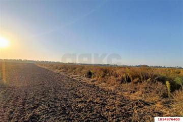 Фото №5: Земельный участок 31 сот. - Тлюстенхабль, 