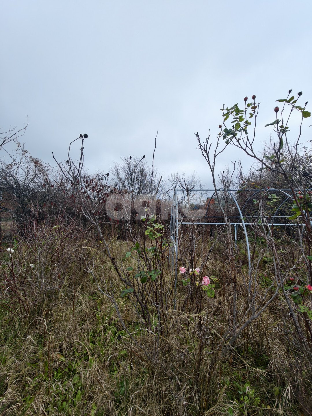 Фото №23: Дом 52 м² + 4.41 сот. - Кореновск, мкр. 2-й квартал, ул. Бувальцева, 78