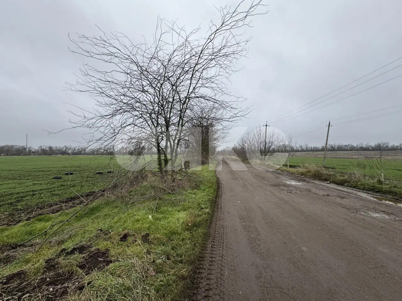 Фото №1: Коммерческая земля 100 сот. - Кореновск, мкр. 2-й квартал