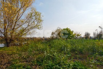 Фото №5: Земельный участок под ИЖС - Кореновск, ул. Колхозная, 7