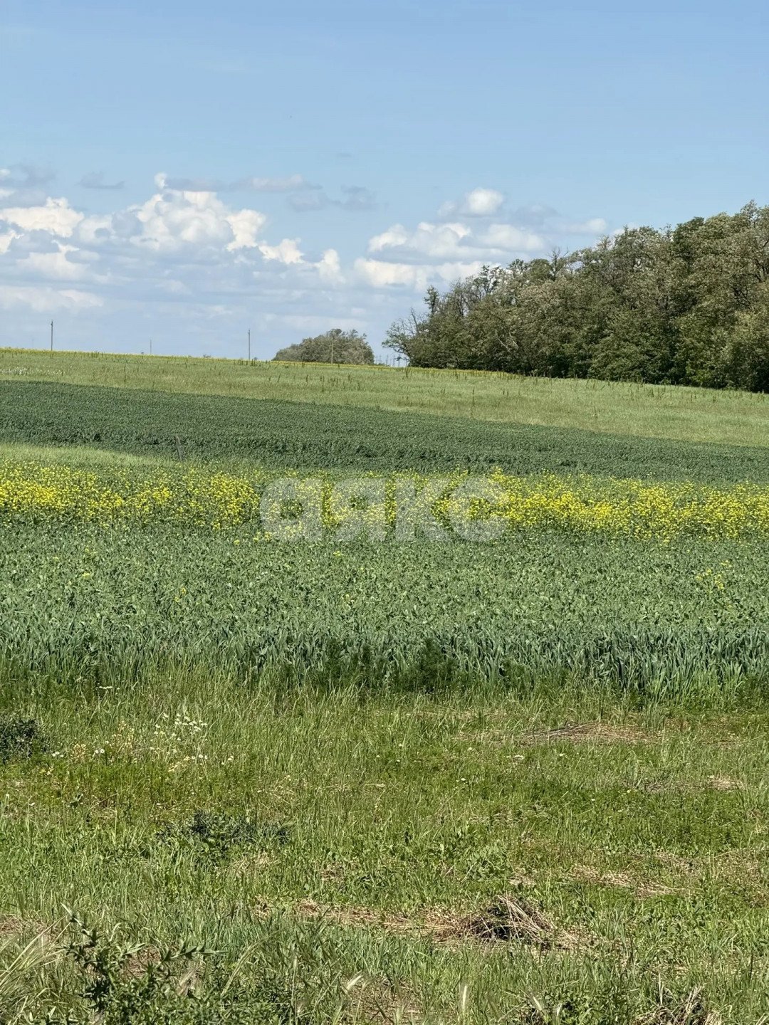 Фото №18: Личное подсобное хозяйство 2000 сот. - Сергиевская, ул. Выгонная