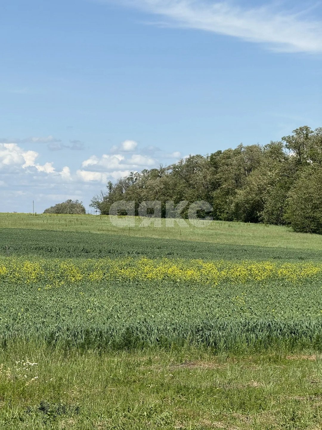 Фото №21: Личное подсобное хозяйство 2000 сот. - Сергиевская, ул. Выгонная